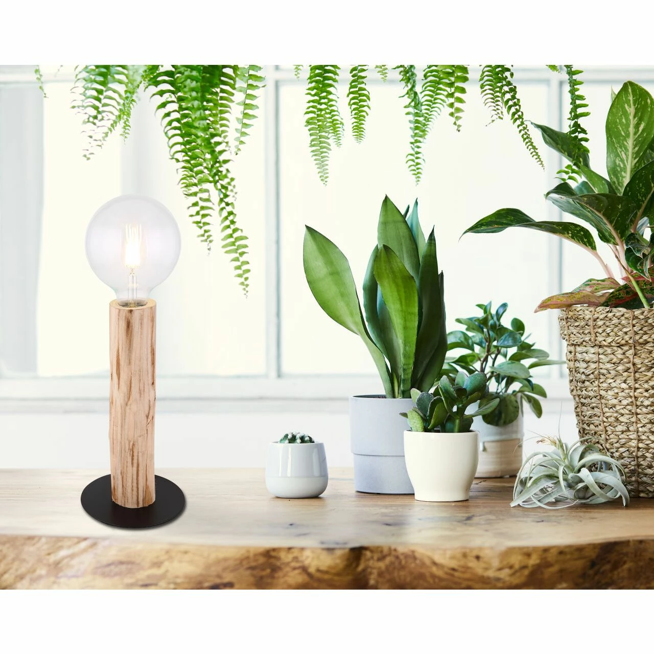 GLOBO E27 Tischleuchte aus Holz matt gerade ohne Schirm Tischlampe schwarz und natur mit Schalter ø 15 cm 5 GLOBO E27 Tischleuchte aus Holz matt gerade ohne Schirm Tischlampe schwarz und natur mit Schalter ø 15 cm – Bild 3